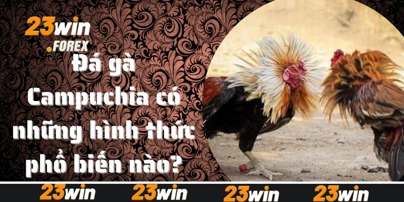 đá gà Campuchia