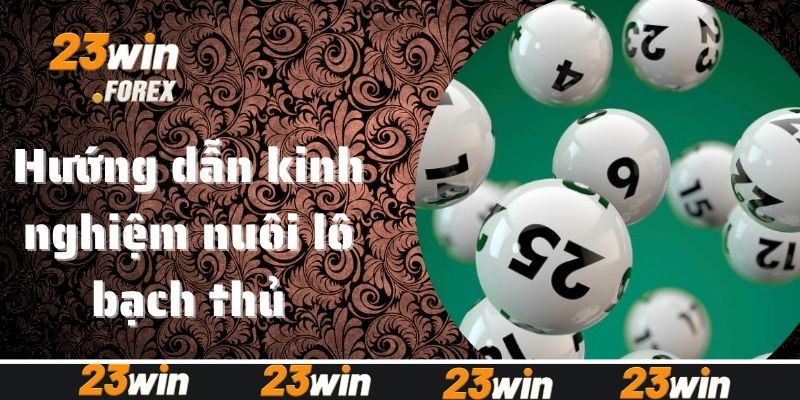 Hướng dẫn cách soi cầu bạch thủ lô chuẩn nhất 23win